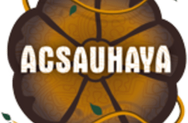 Ayahuasca, ist das etwas für Sie?