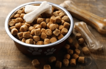 It is time for the era of innovative pet food packaging. Read to find out more!